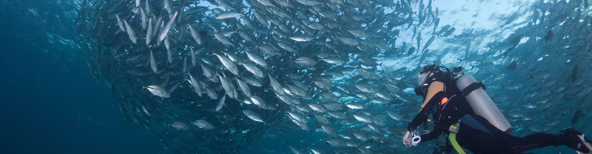 North - Brothers islands